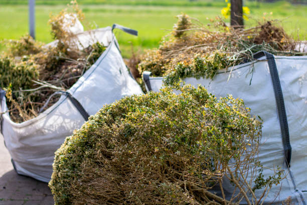 Best Same-Day Junk Removal Services  in Pigeon, MI